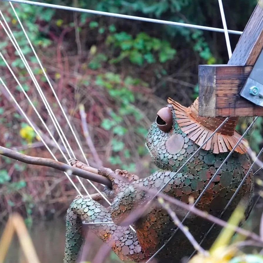 frog-1.jpg
