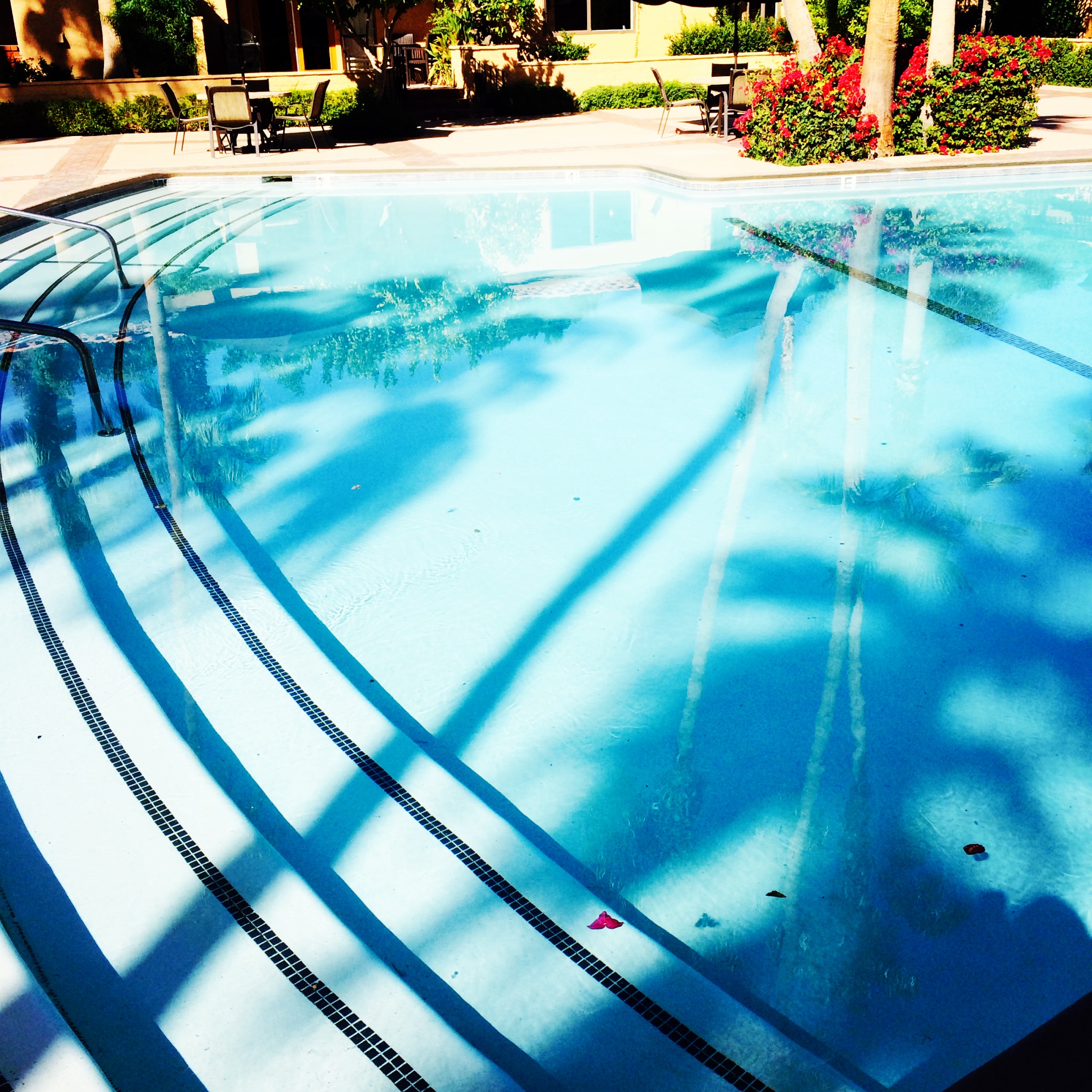 Pool.JPG