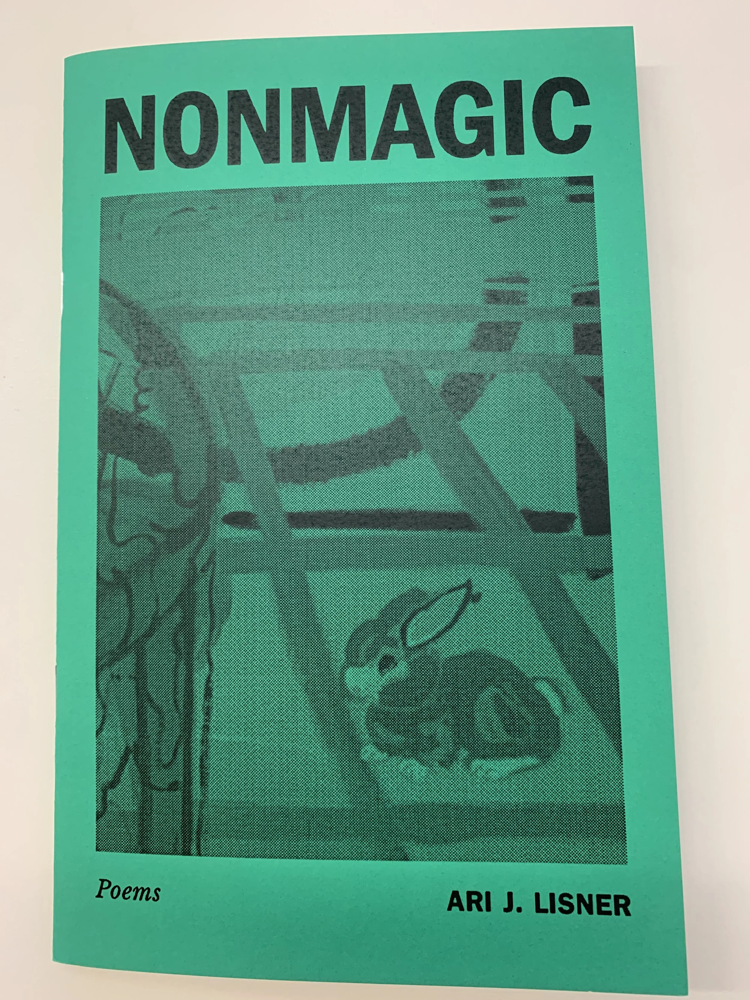 Kelly Reichardt.jpeg