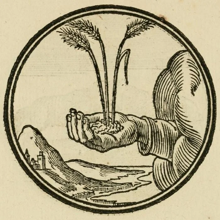 Eric Amling thumb.jpg