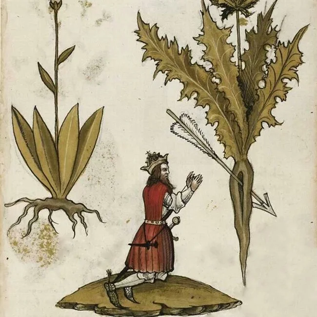 Liza Kotlar thumb.jpg