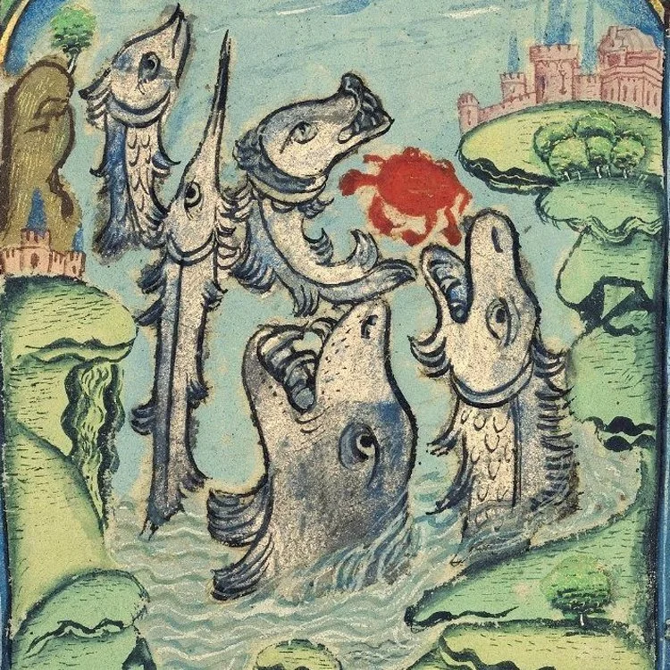 Isobella Houston thumb.jpg