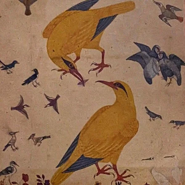 Ari Lisner thumb.jpg