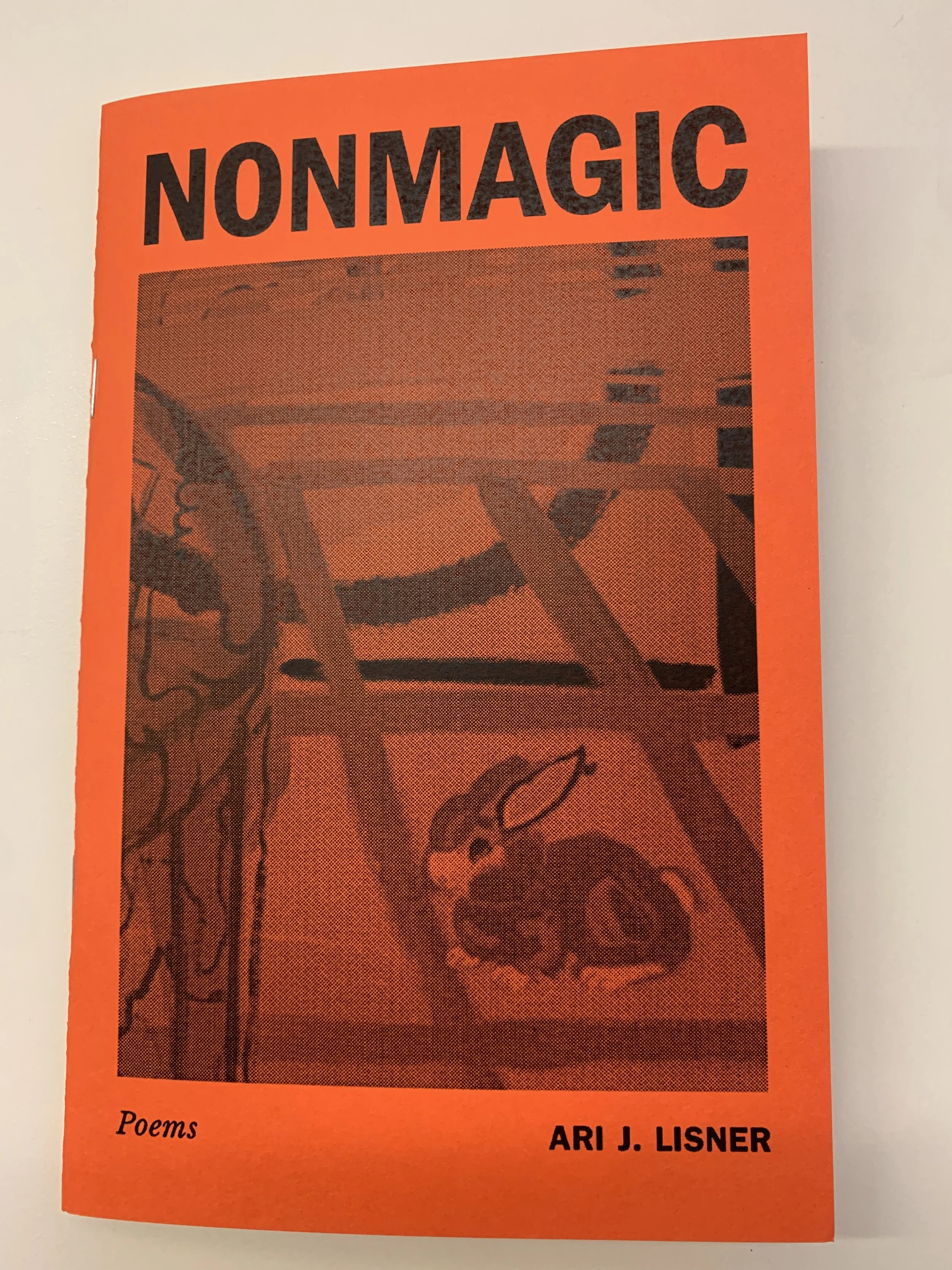 Alice Rohrwacher.jpeg