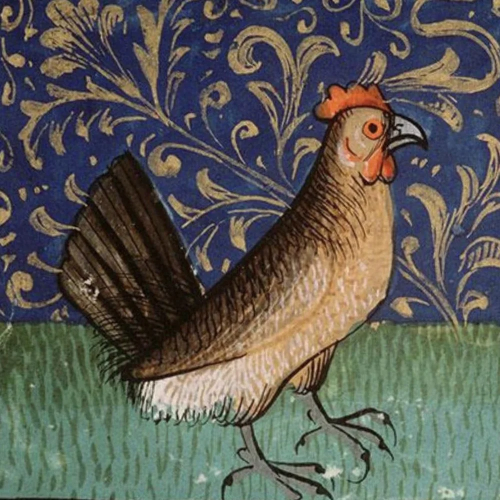 Allison Argumedo thumb.jpg