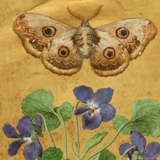 Ashley Escobar thumb.jpg