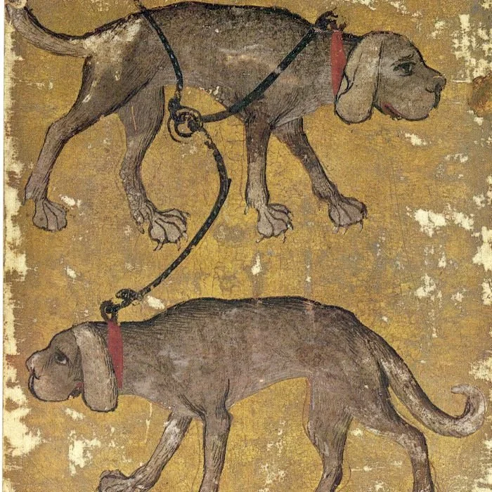 Rebecca Shippee thumb.jpg