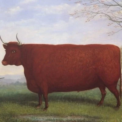 Casper Lee thumb.jpg