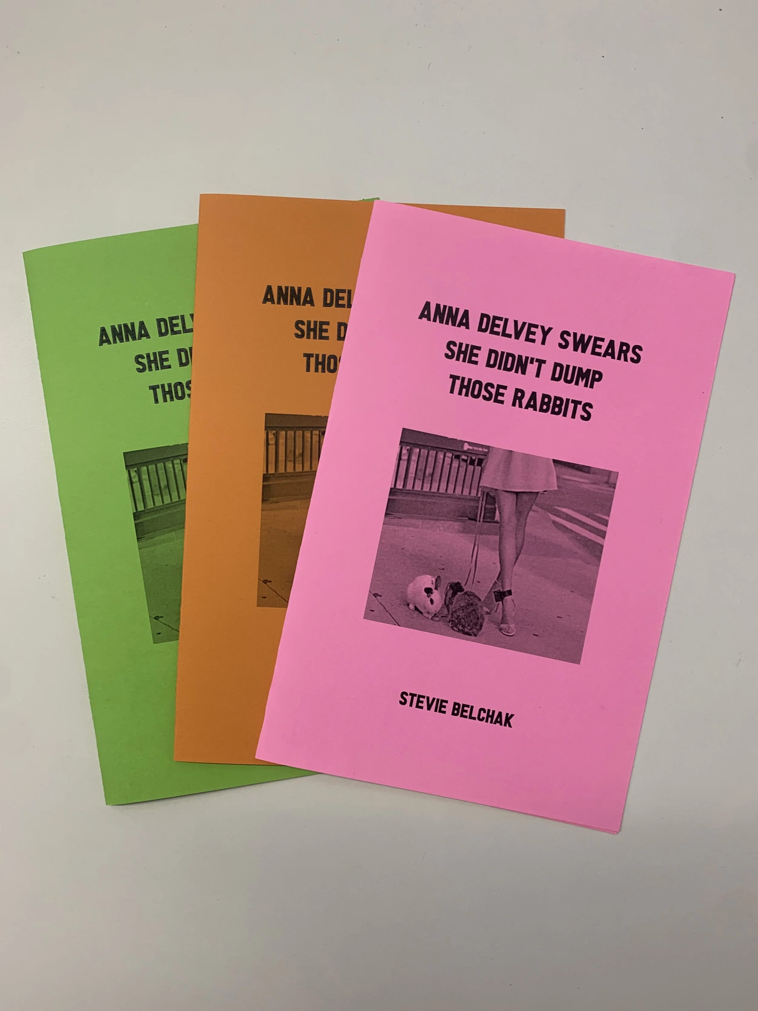 Anna Delvey Swears She Didn't Dump Those Rabbits - Stevie Belchak