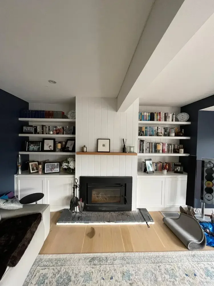 Bedroom with fireplace and shelves