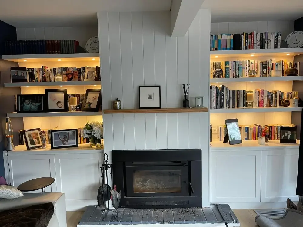 Bedroom with fireplace and shelves