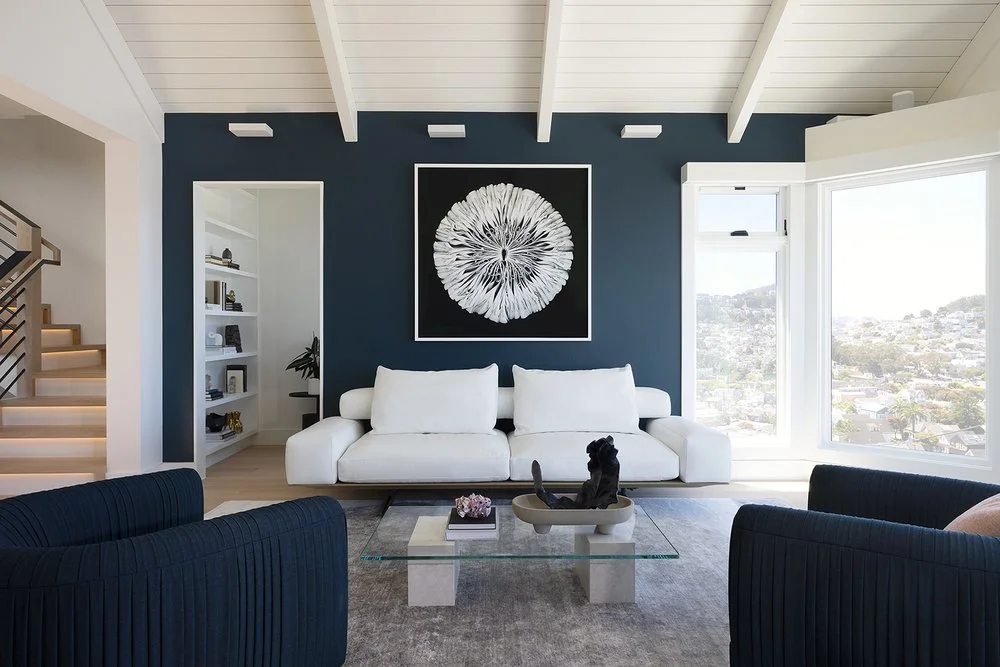 living-area-contemporary-bernal-heights-sf-gambleplusdesign-4.jpeg