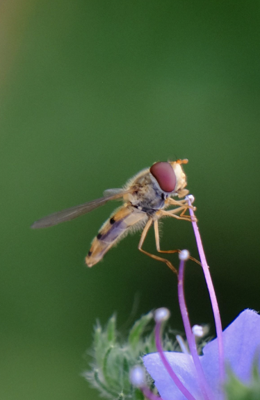 Screenshot 2025-09-19 at 4.03.32 PM.png