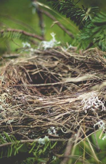 Screenshot 2025-09-19 at 4.03.41 PM.png