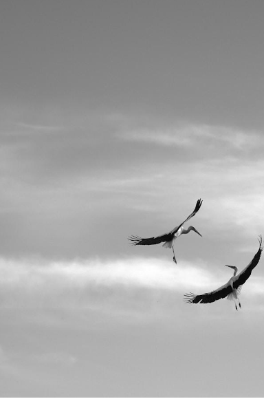 Screenshot 2025-11-05 at 11.03.42 AM.png