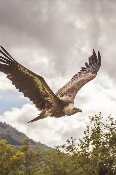 Screenshot 2025-12-08 at 1.18.28 PM.png