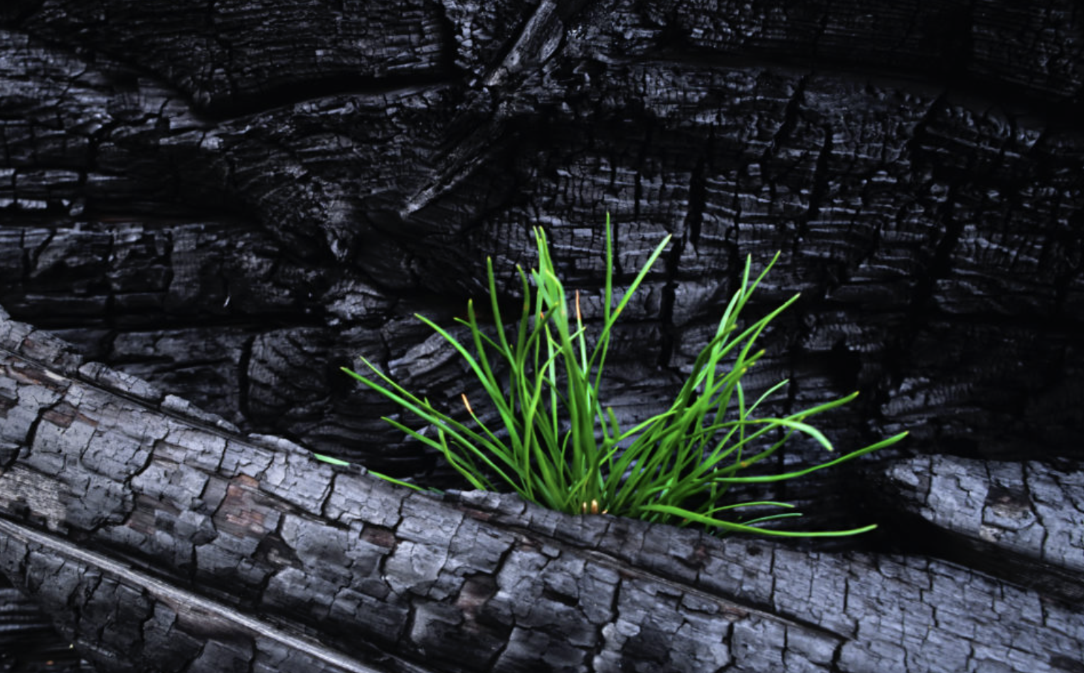 Screenshot 2025-12-07 at 4.07.04 PM.png