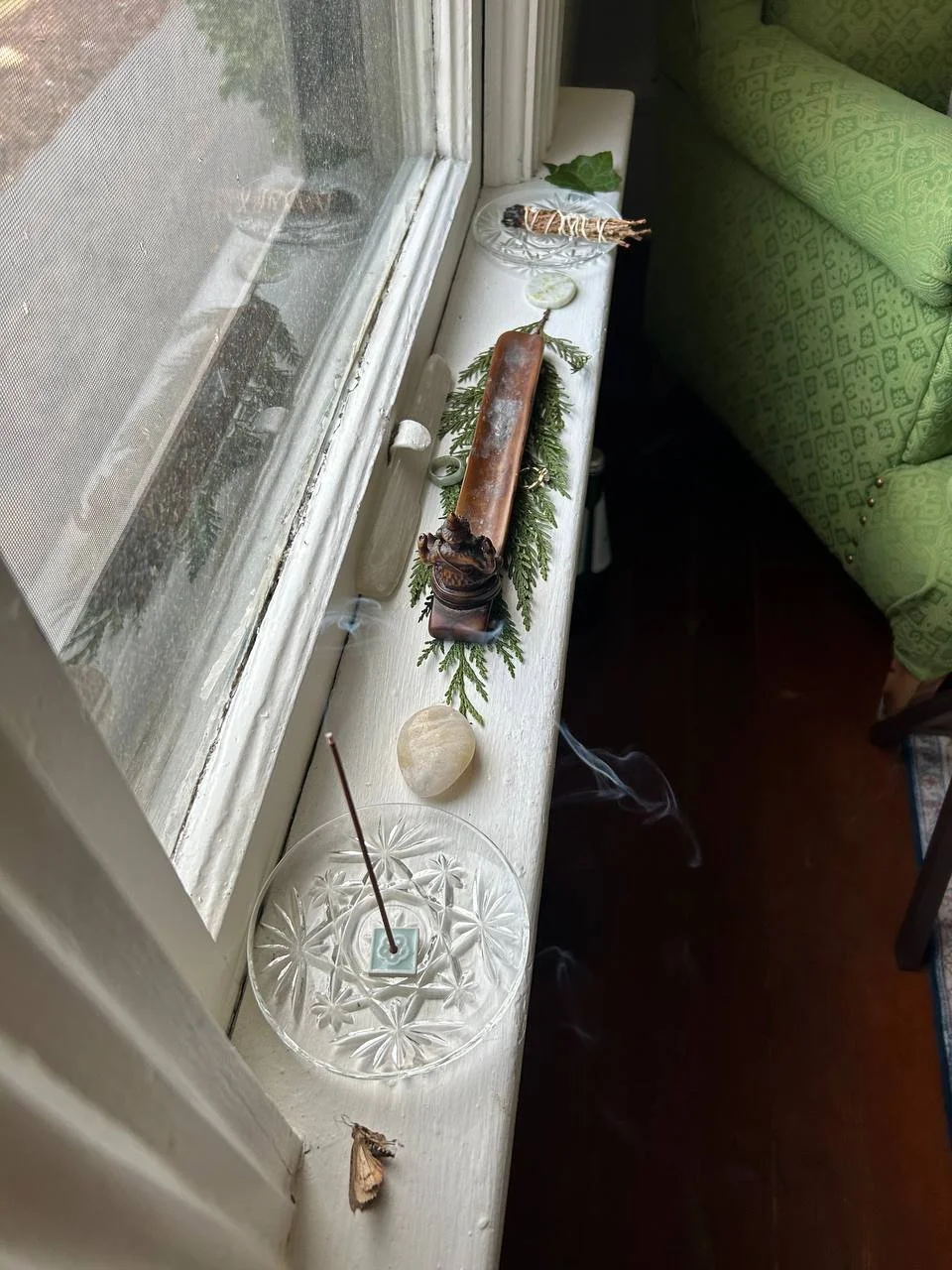 Roya_Father's Line.jpg