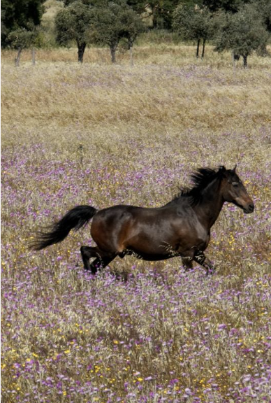 Screenshot 2025-12-19 at 9.20.13 PM.png