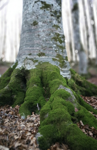 Screenshot 2026-02-24 at 8.22.13 PM.png