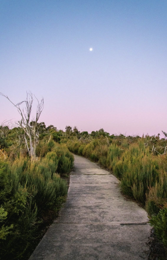 Screenshot 2026-02-24 at 8.22.30 PM.png