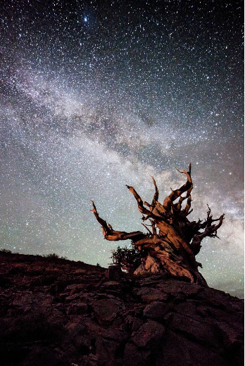 Screenshot 2026-03-11 at 6.12.14 PM.png