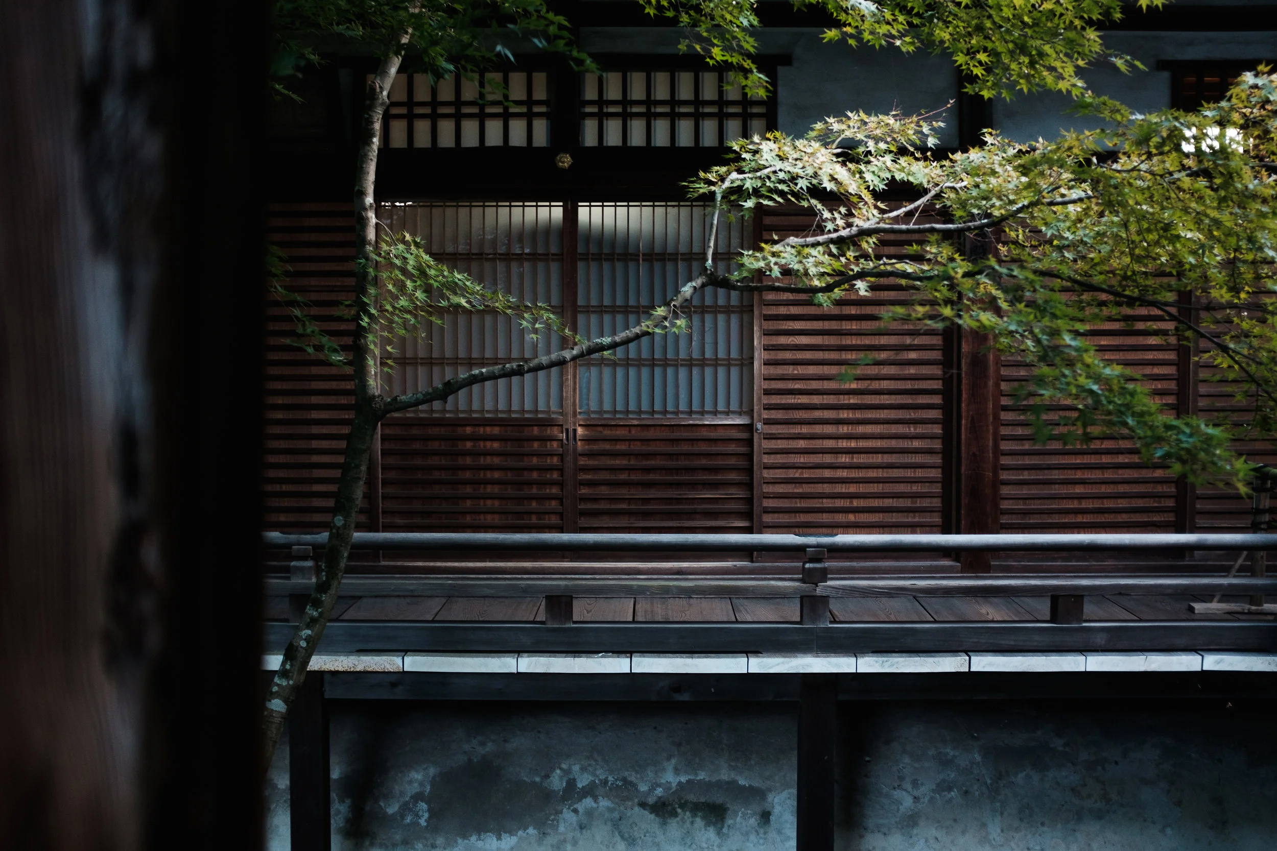 JapaneseHoneymoon-71.jpg