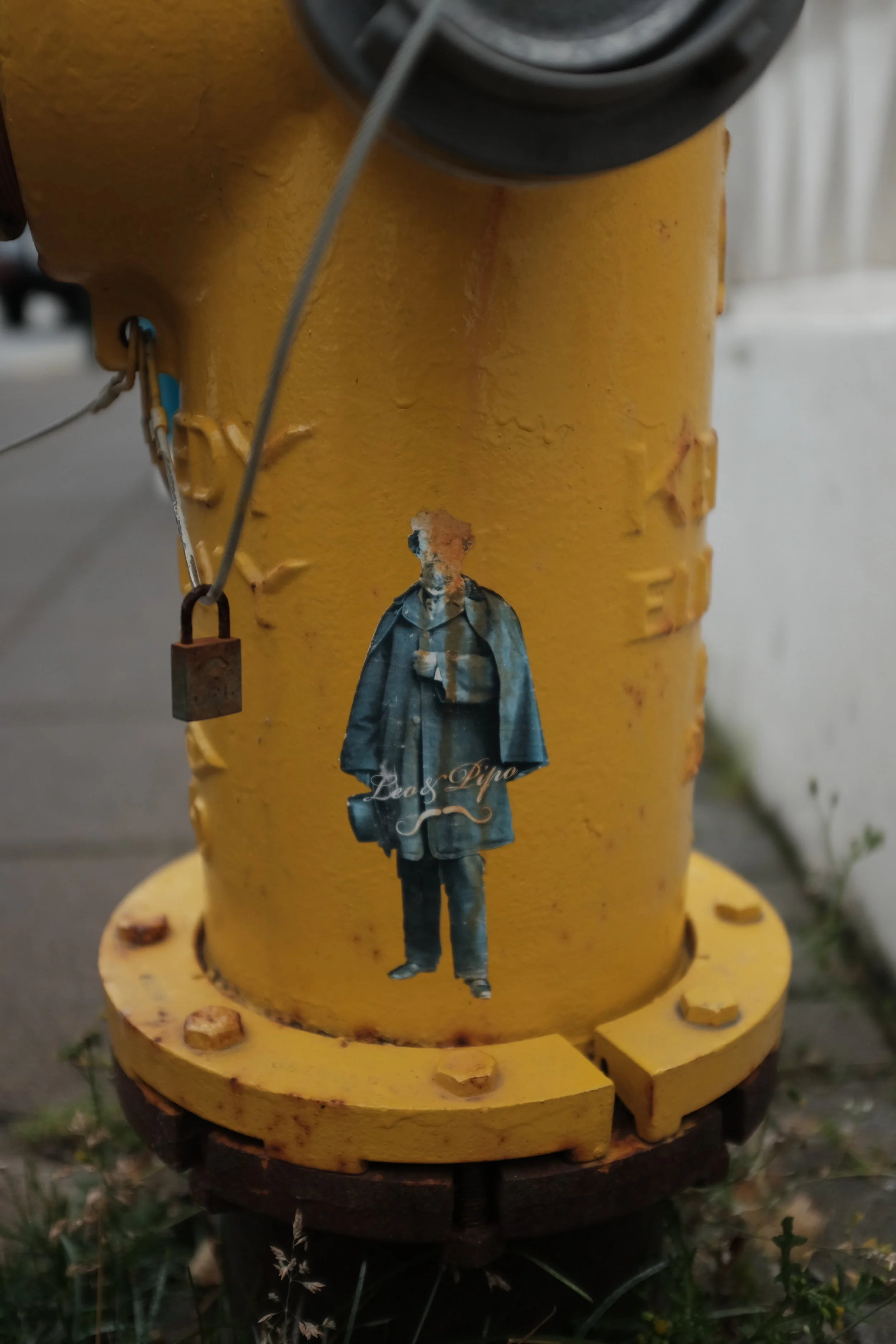 DSCF3182.JPG