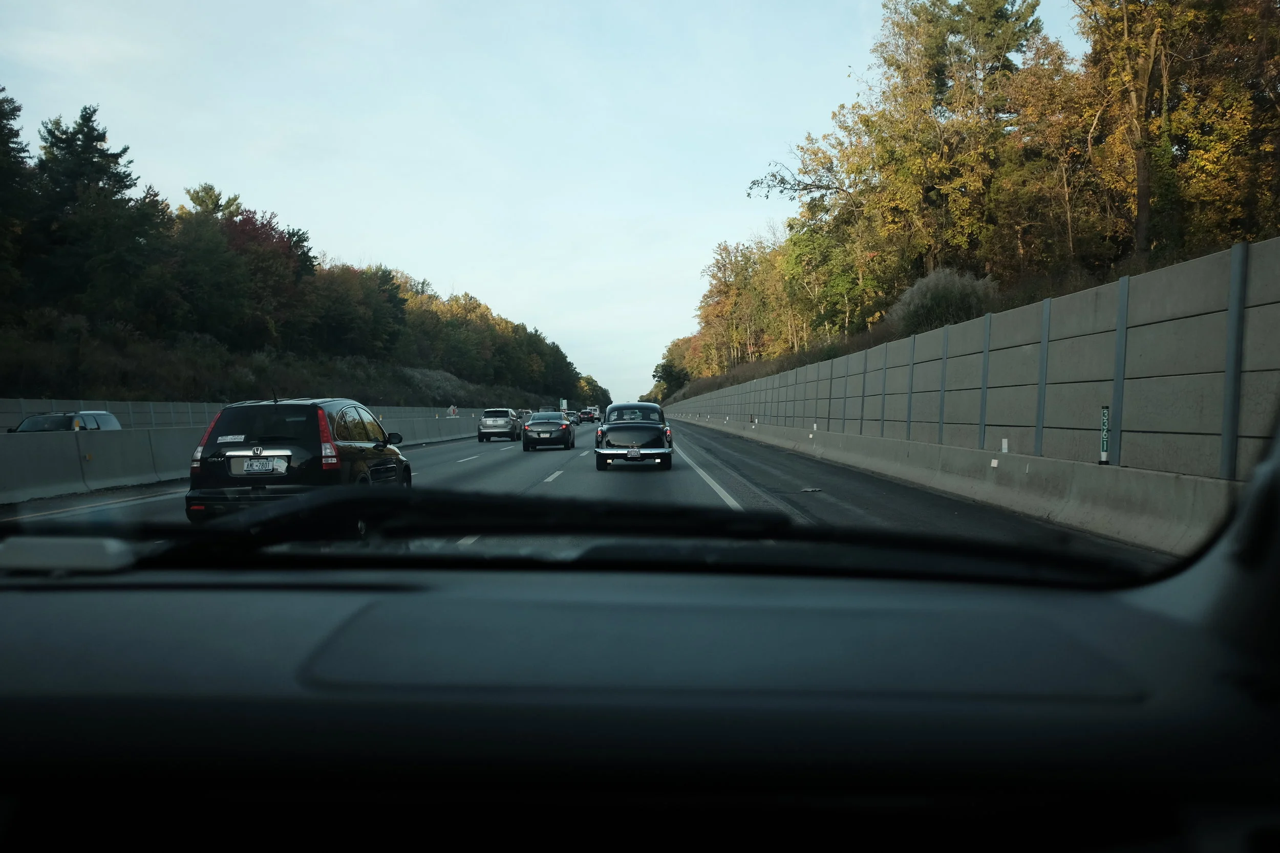 Wildwood_020.JPG