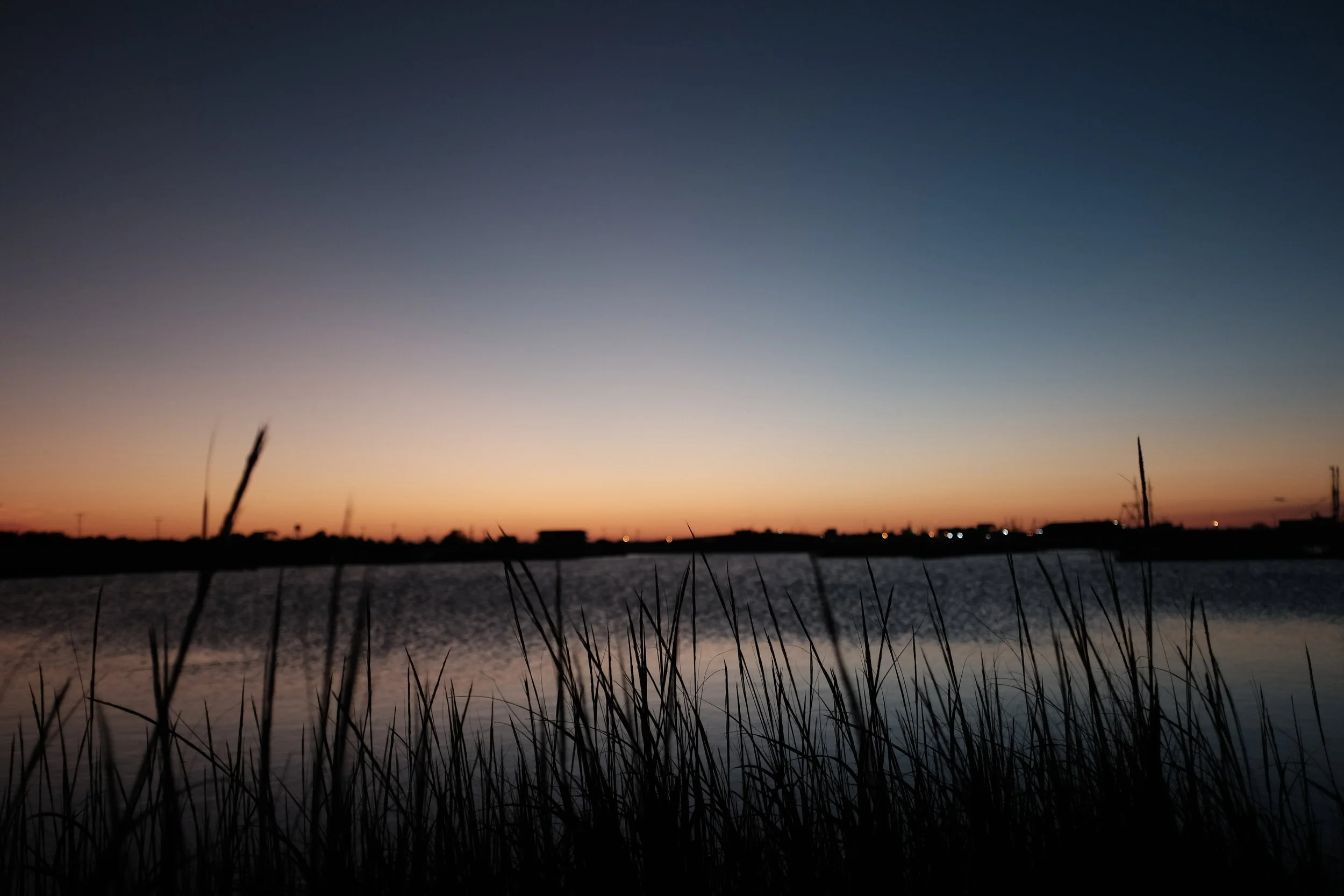 Wildwood_061.JPG