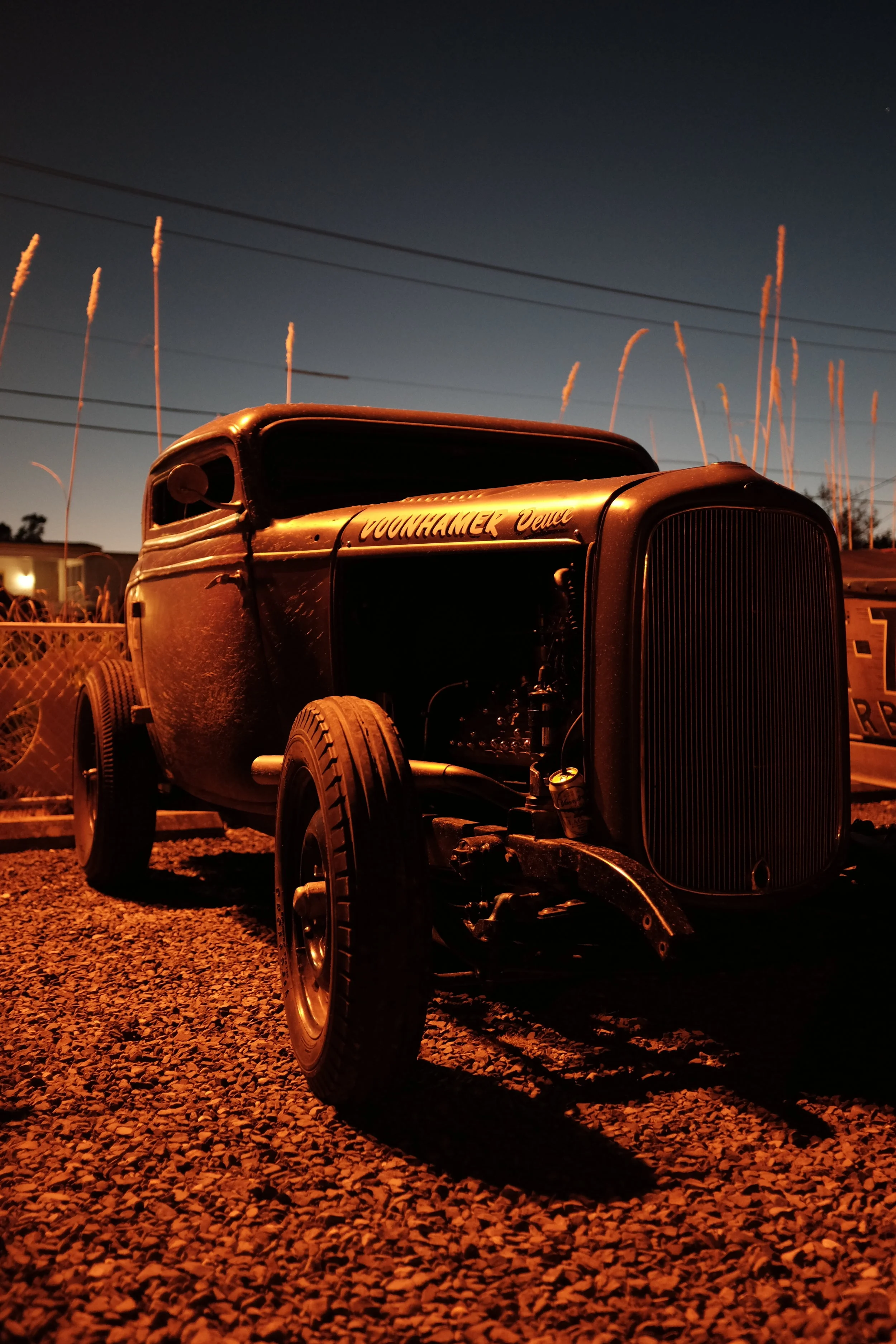 Wildwood_062.JPG