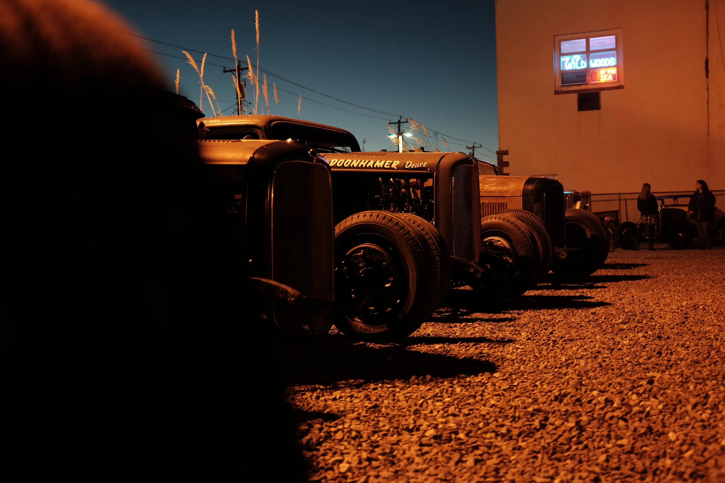 Wildwood_070.JPG