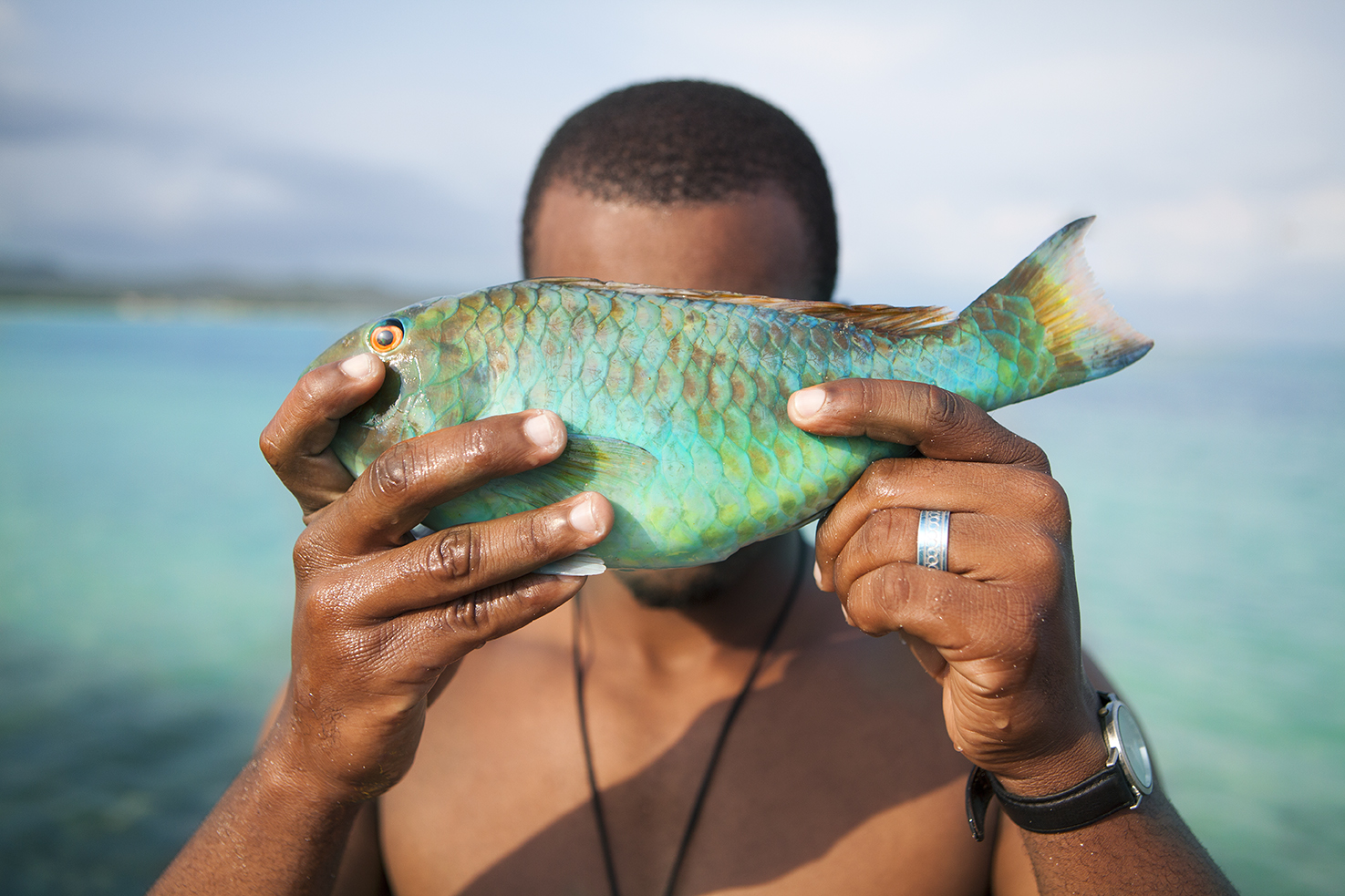 diephuis-jamaica-parrotfish.jpg