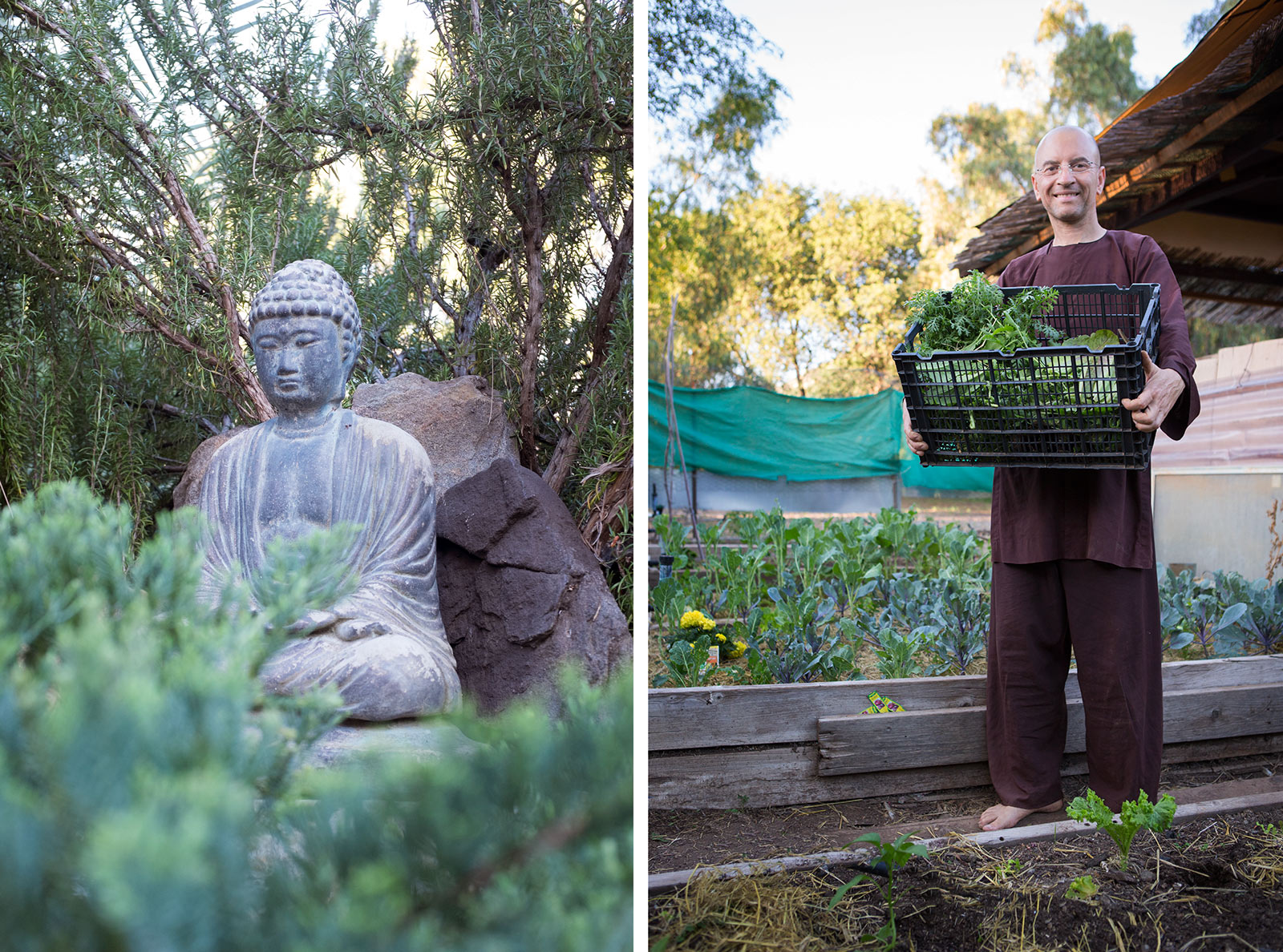 diephuis-garden-buddhist.jpg