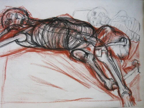 Anatomical study charcoal 16"X24", 2013.