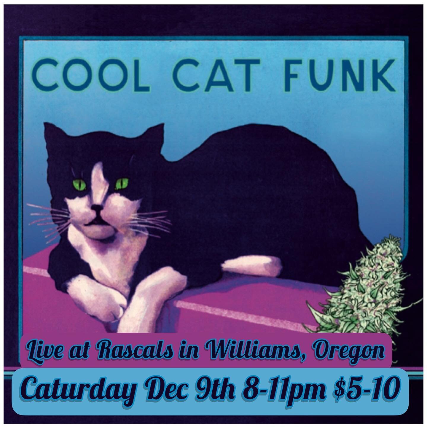 Hey all you Cool Cats,  We&rsquo;re playing Live and weed love to see your beautifull faces , Caturday December 9th at Rascals in Williams.  8pm 
⚡️🍻🤙🏽🐅🦋🏝️🪶

#williamsoregon 
#southernoregon 
#applegatevalley 
#grantspass 
#420 
#originalmusic