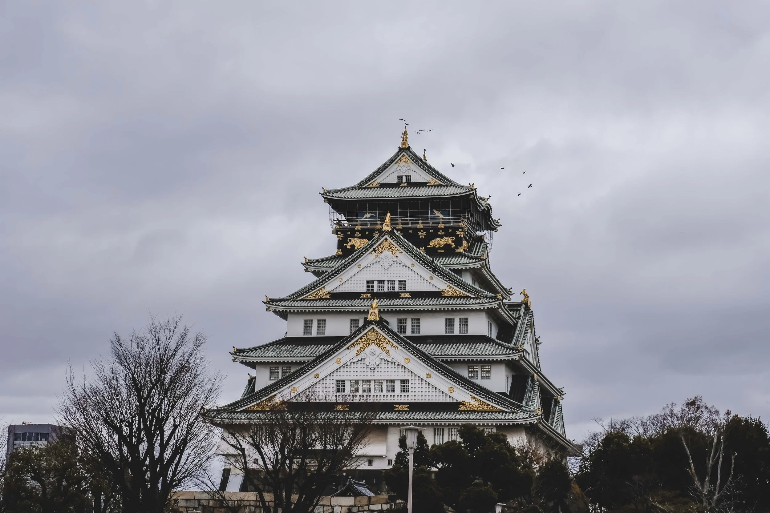 MainLand Japan (49).JPG