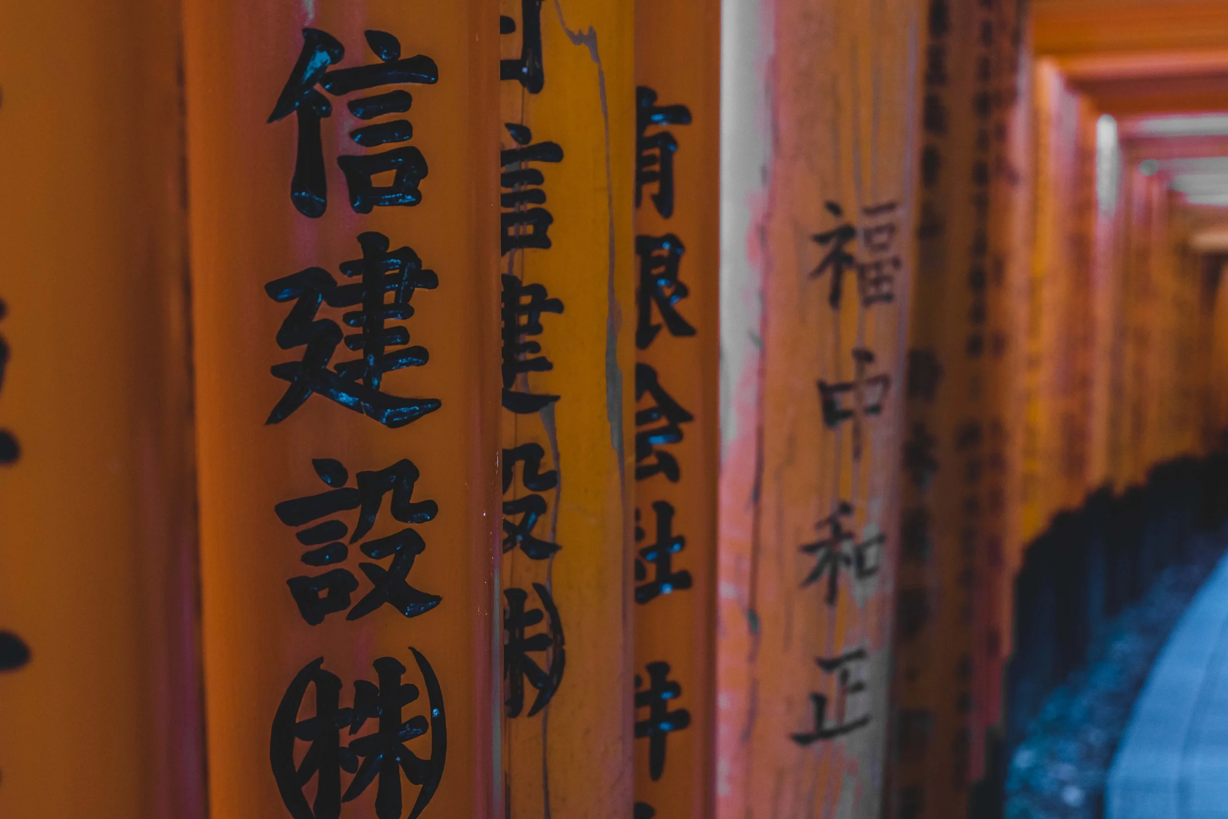 MainLand Japan (83).JPG