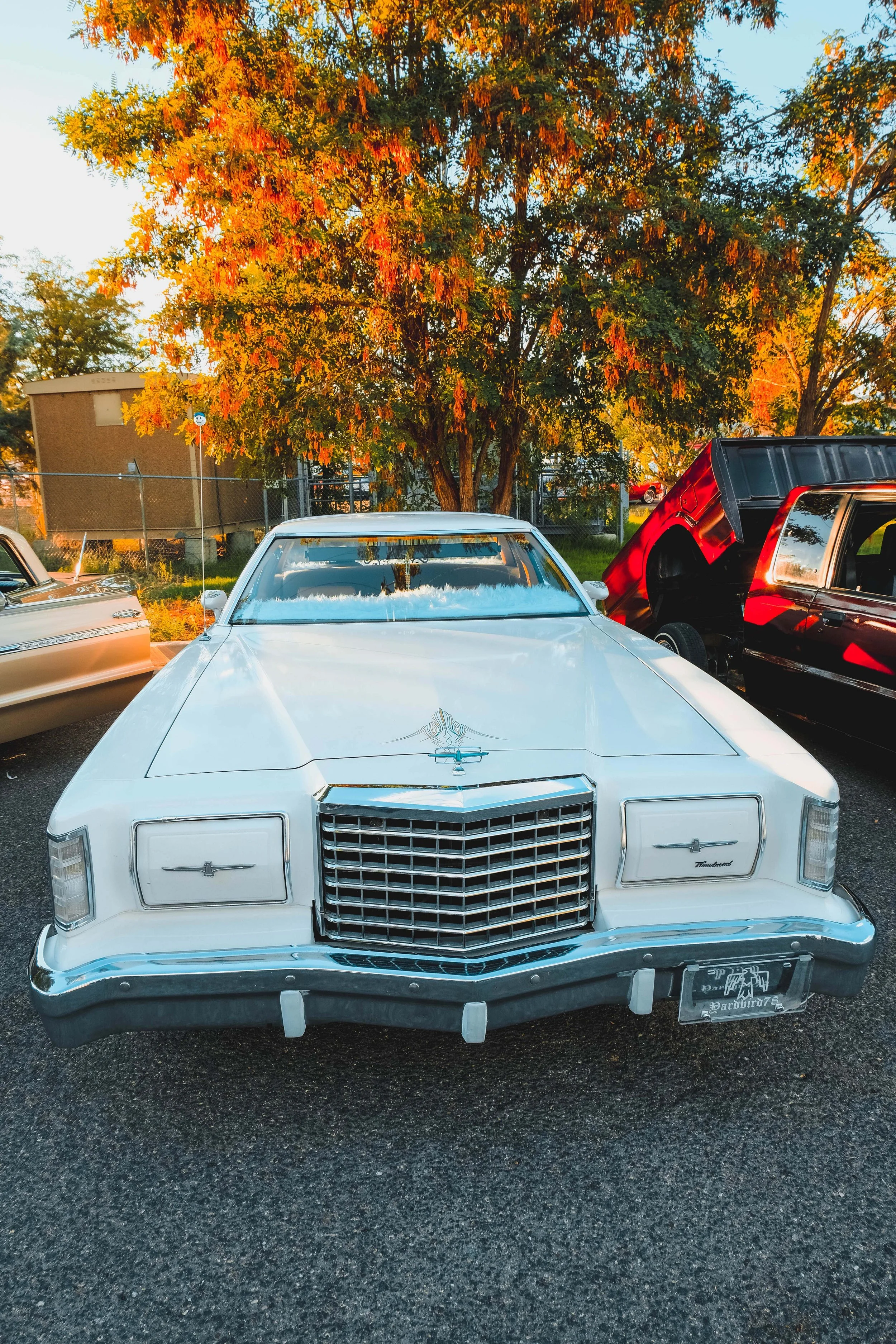 LL Meet August 2022 (15).JPG