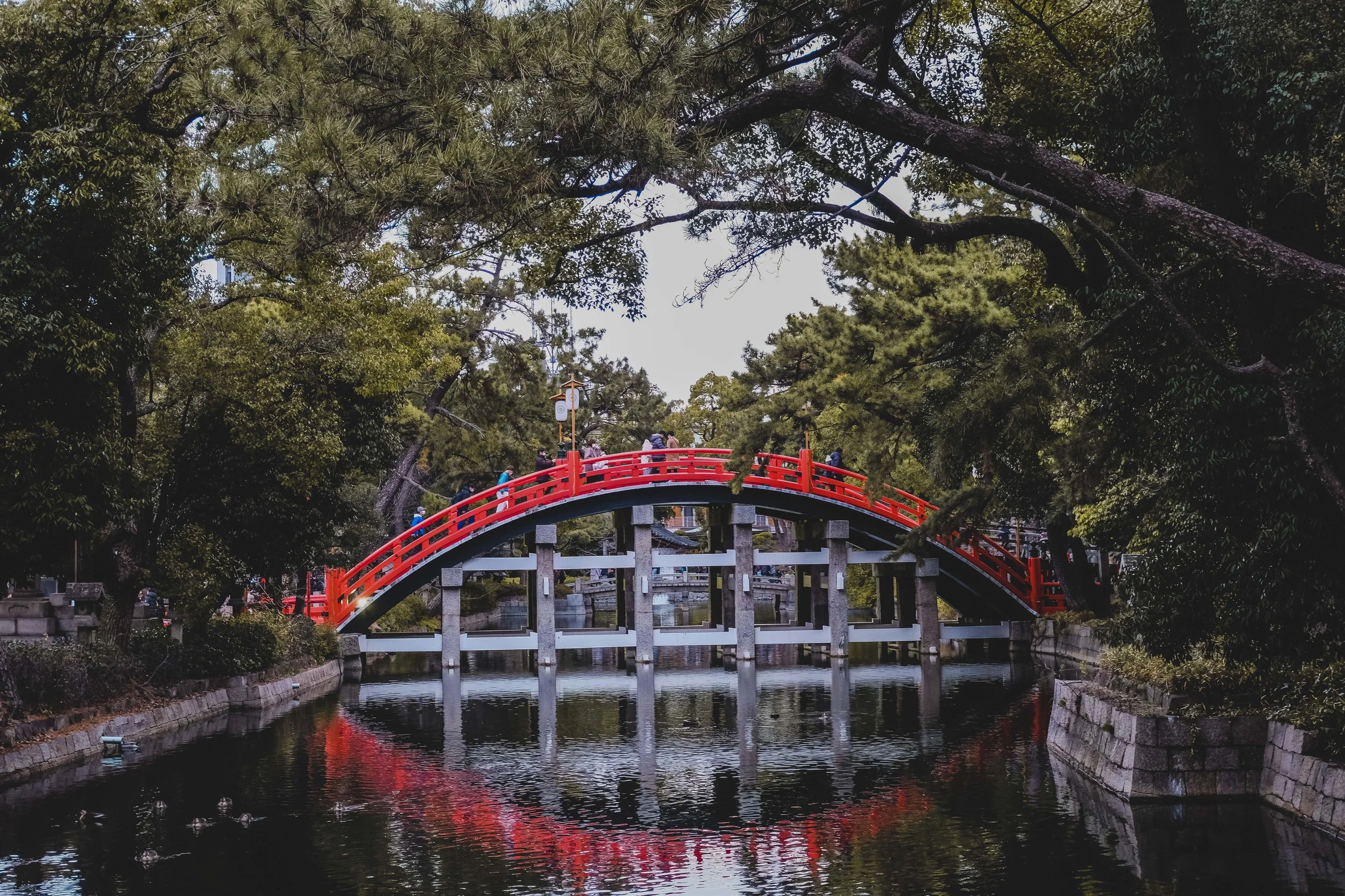 MainLand Japan (93).JPG