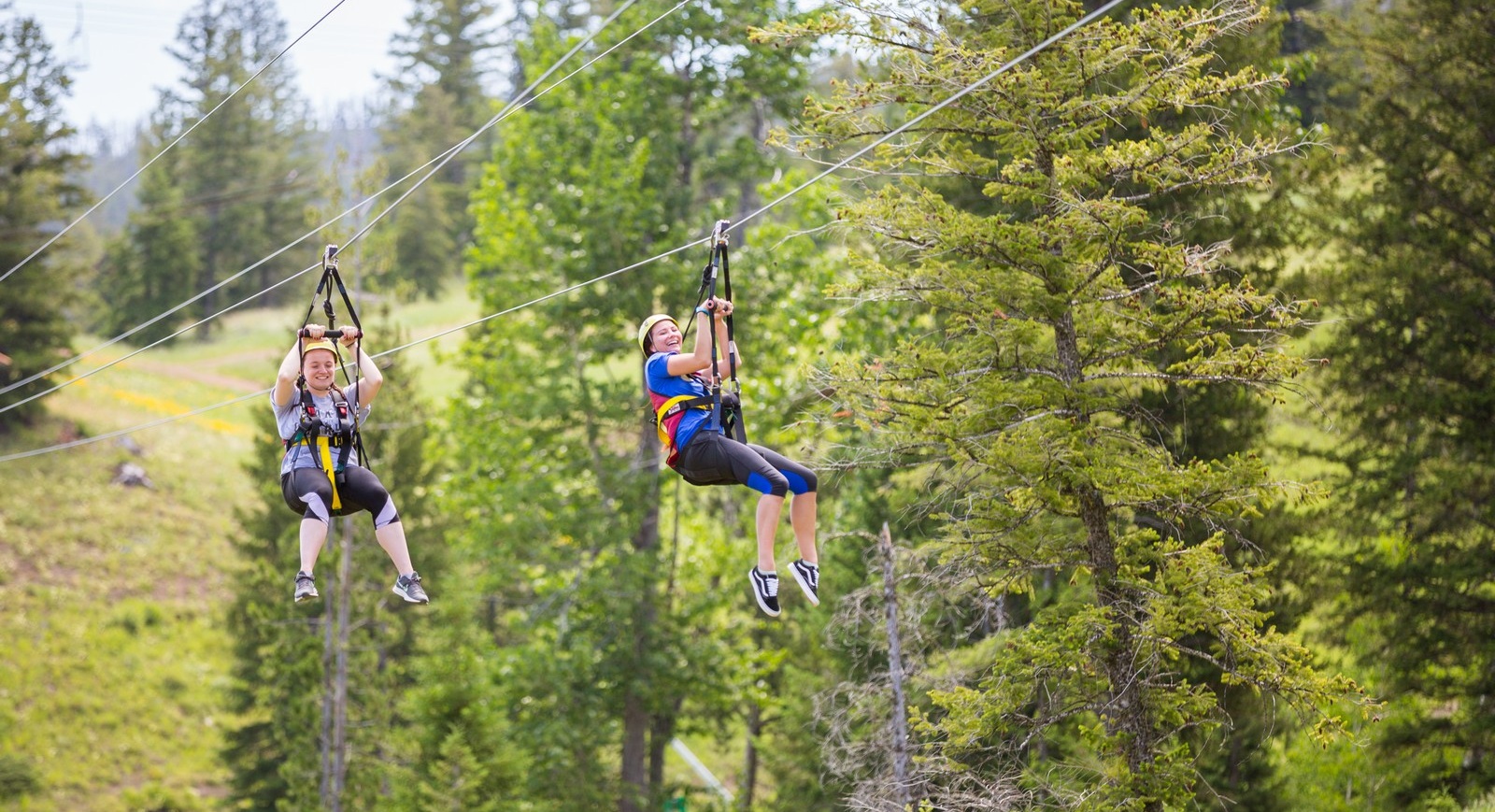 Tours Sleeping Giant Zipline