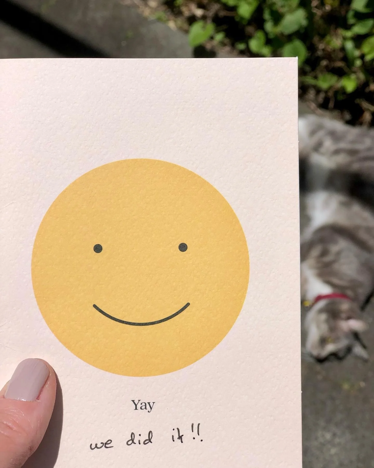 I get the loveliest messages from the loveliest clients!