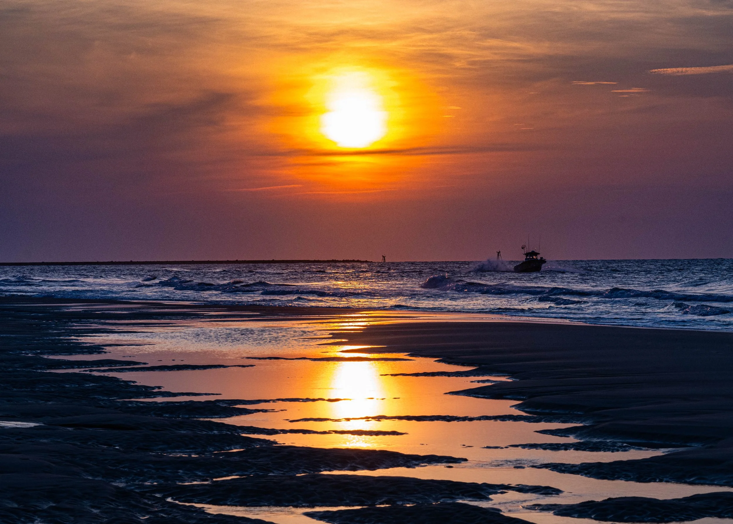 DSC_7768-2.jpg