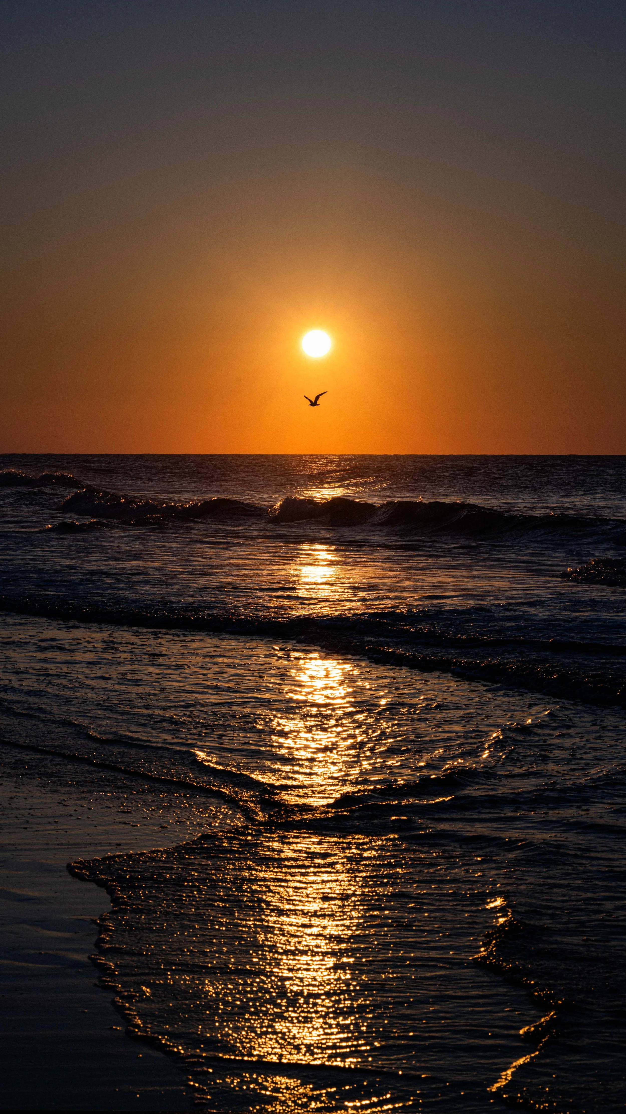DSC_8219-Edit.jpg