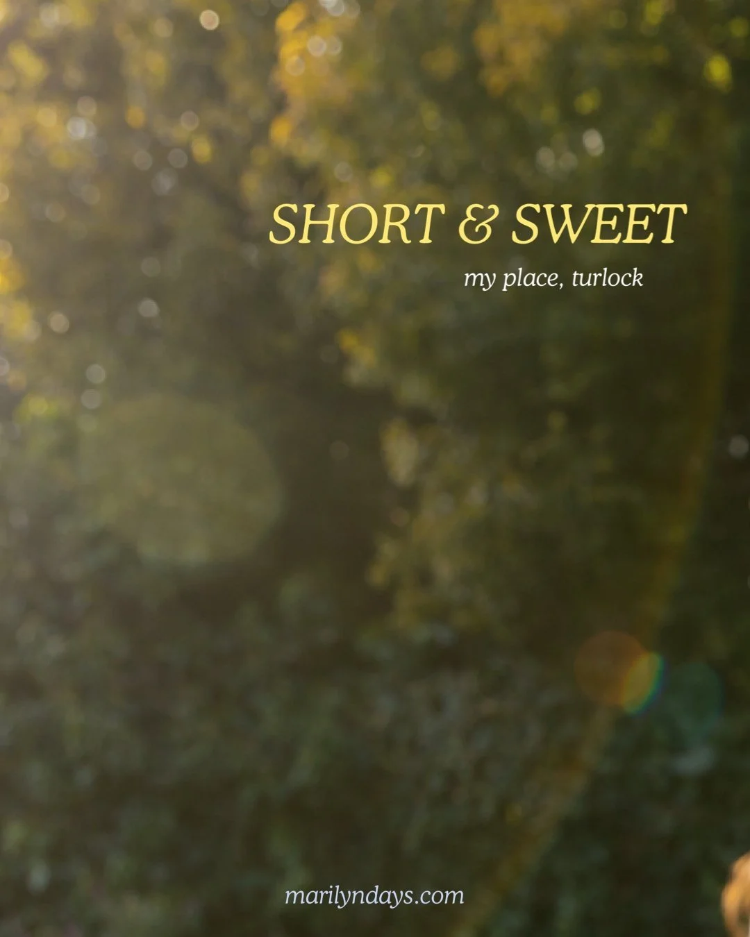 Short & Sweet Cover 2.jpeg