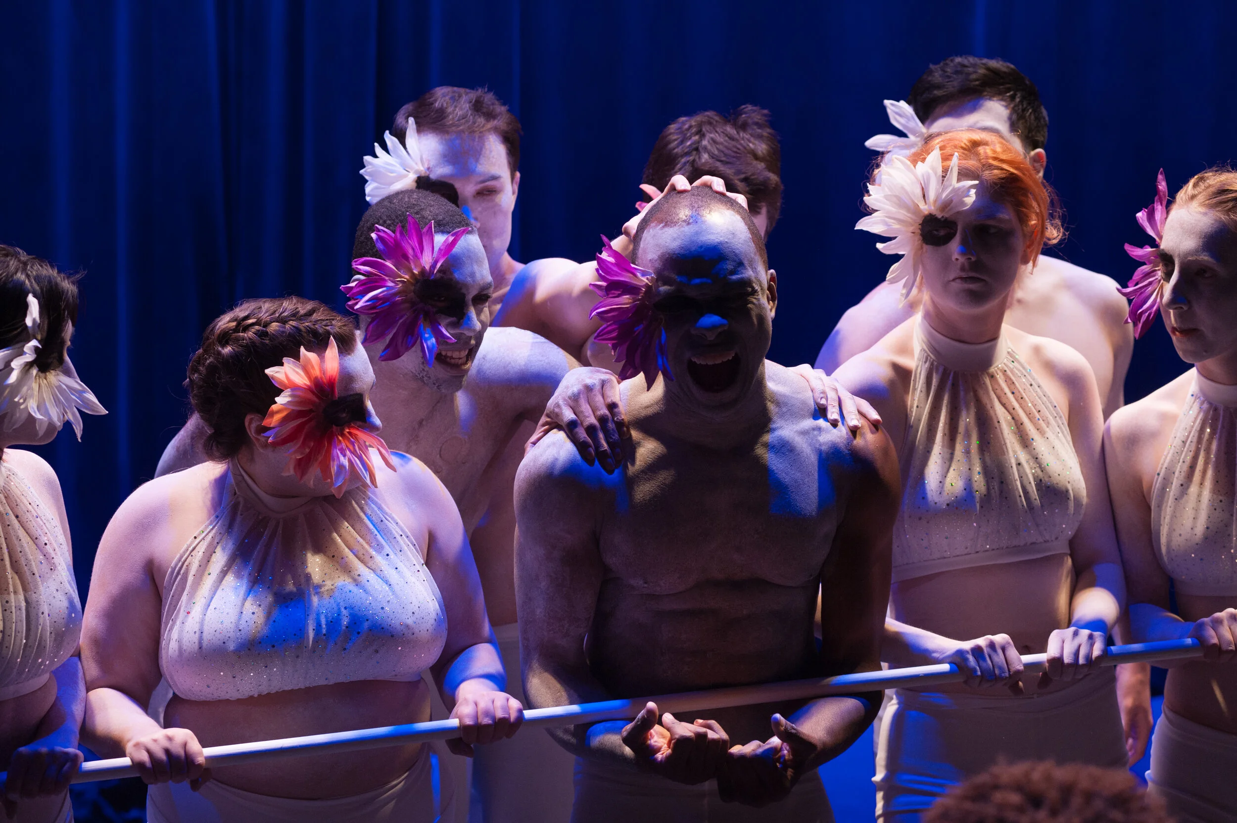 The Feather Doesn't Fall Far From the Wing