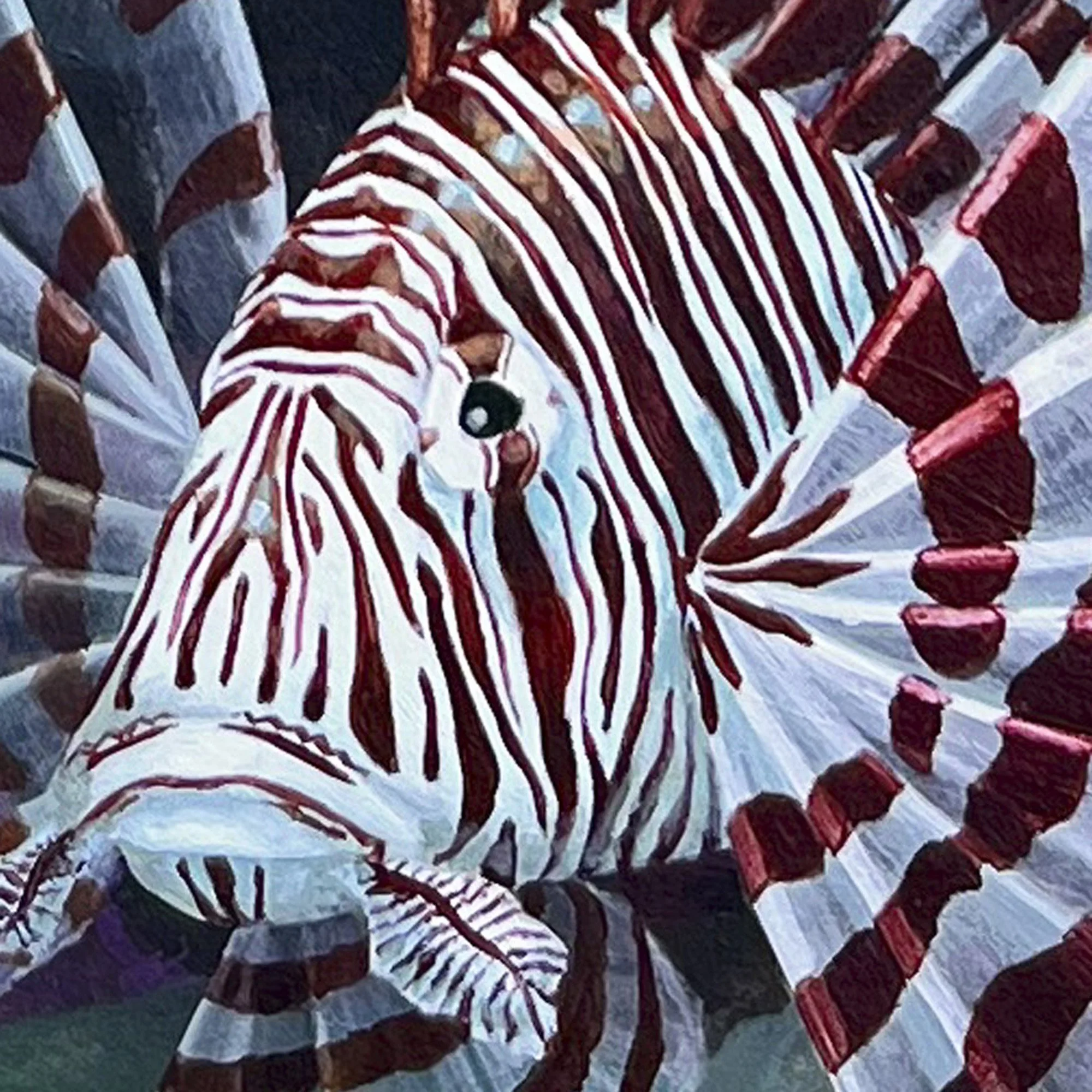 Komodo Lionfish - detail lionfish head.jpg