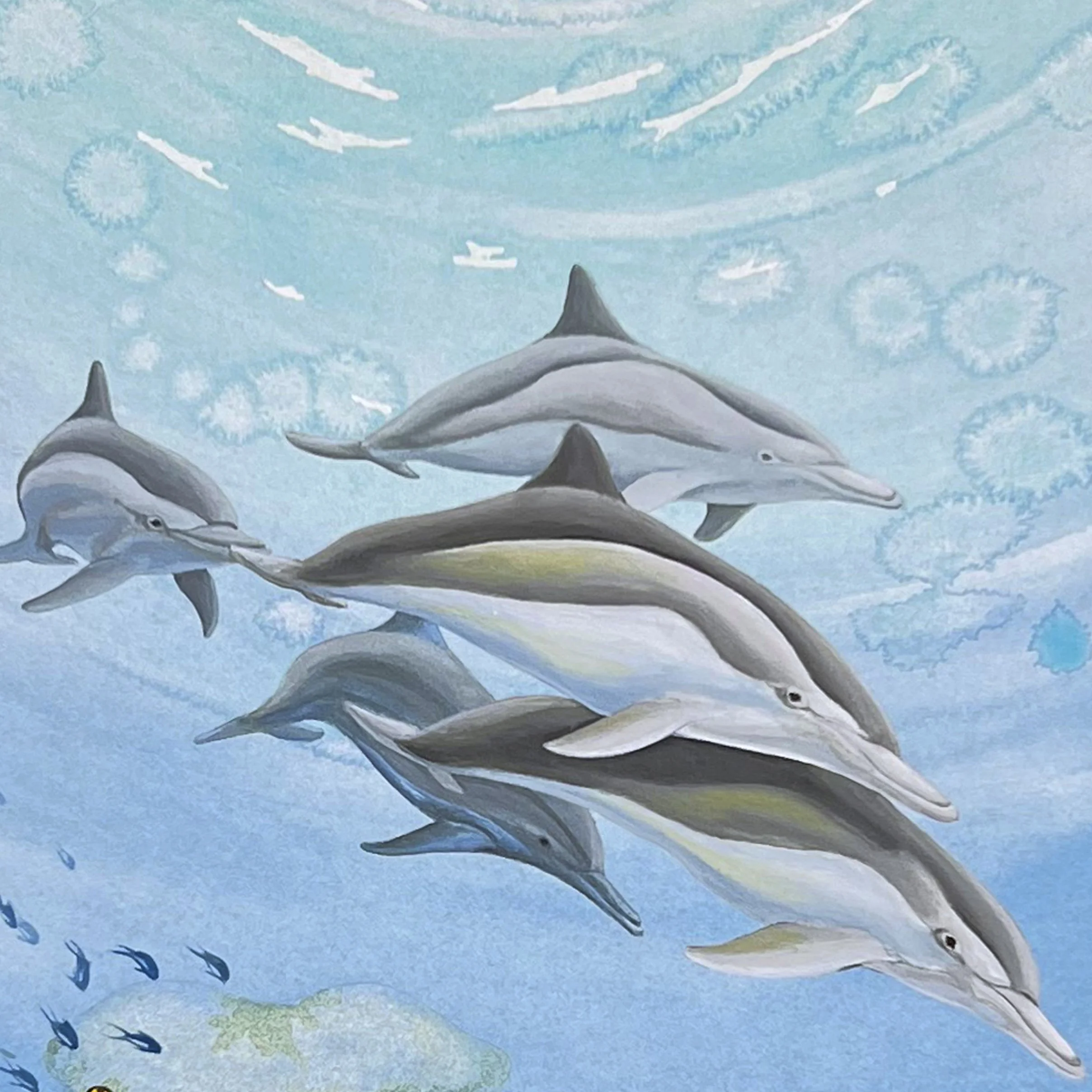 Dolphin Play dolphin detail.jpg
