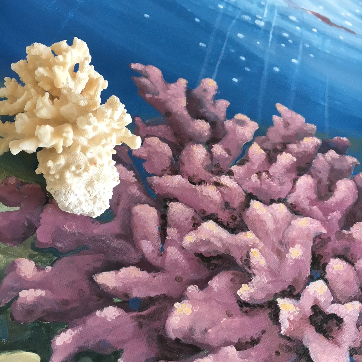 Oceans Blush I Detail e.JPG