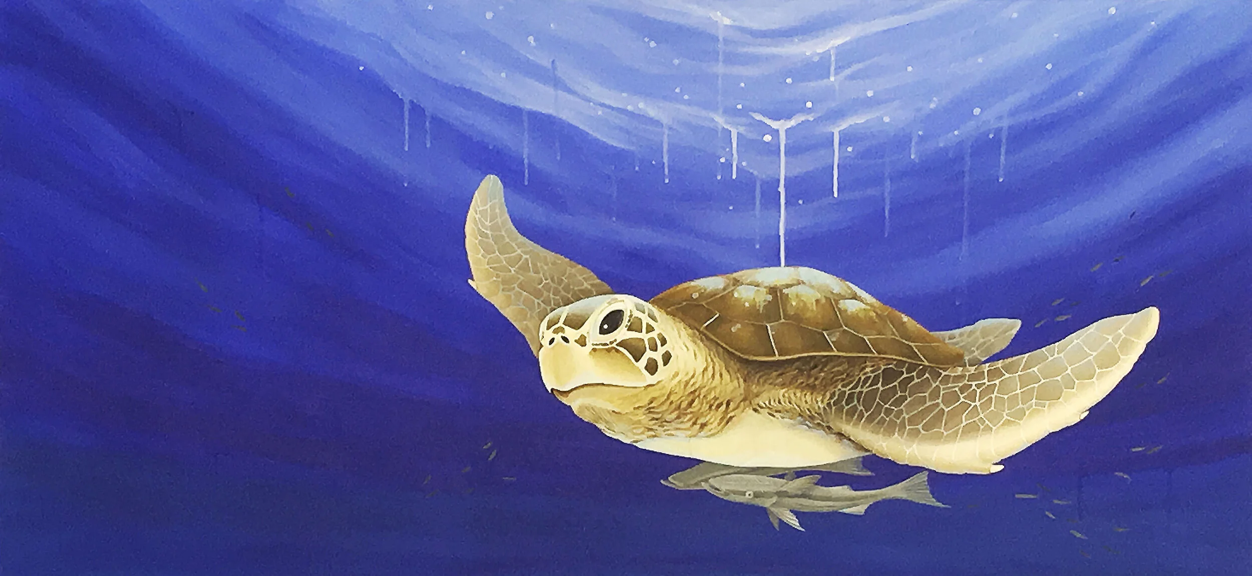 Symbiotic Relationship cropped for website banner.jpg